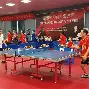 国内职业联赛热点聚焦，赛场一片热闹的简单介绍