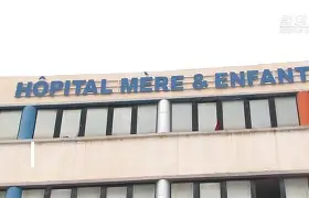关于阿尔及利亚队在场上展现出色状态势如破竹的信息